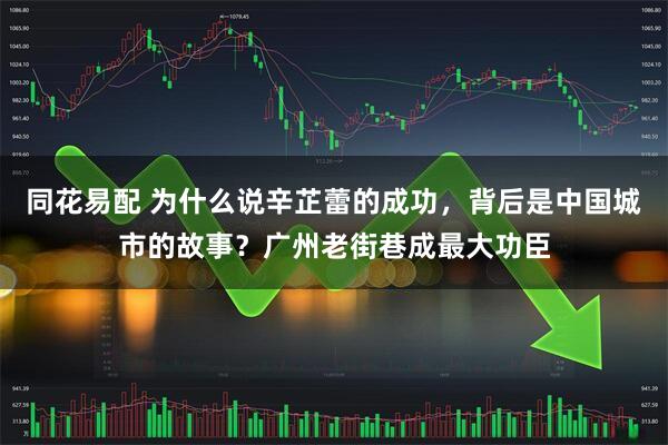 同花易配 为什么说辛芷蕾的成功，背后是中国城市的故事？广州老街巷成最大功臣