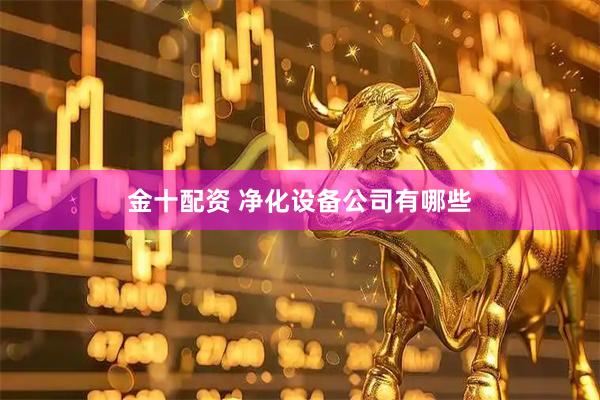金十配资 净化设备公司有哪些